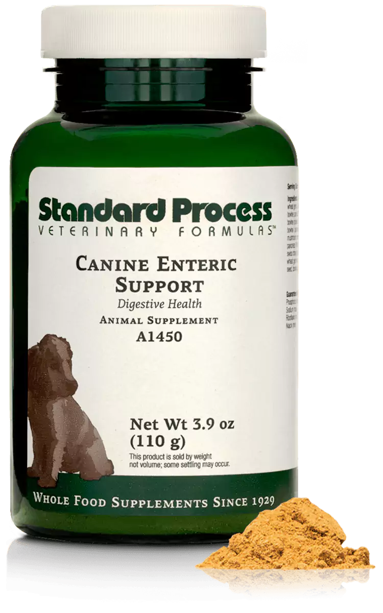 Canine Enteric Support, 1.1 oz (30 g) / 3.9 oz (110 g)
