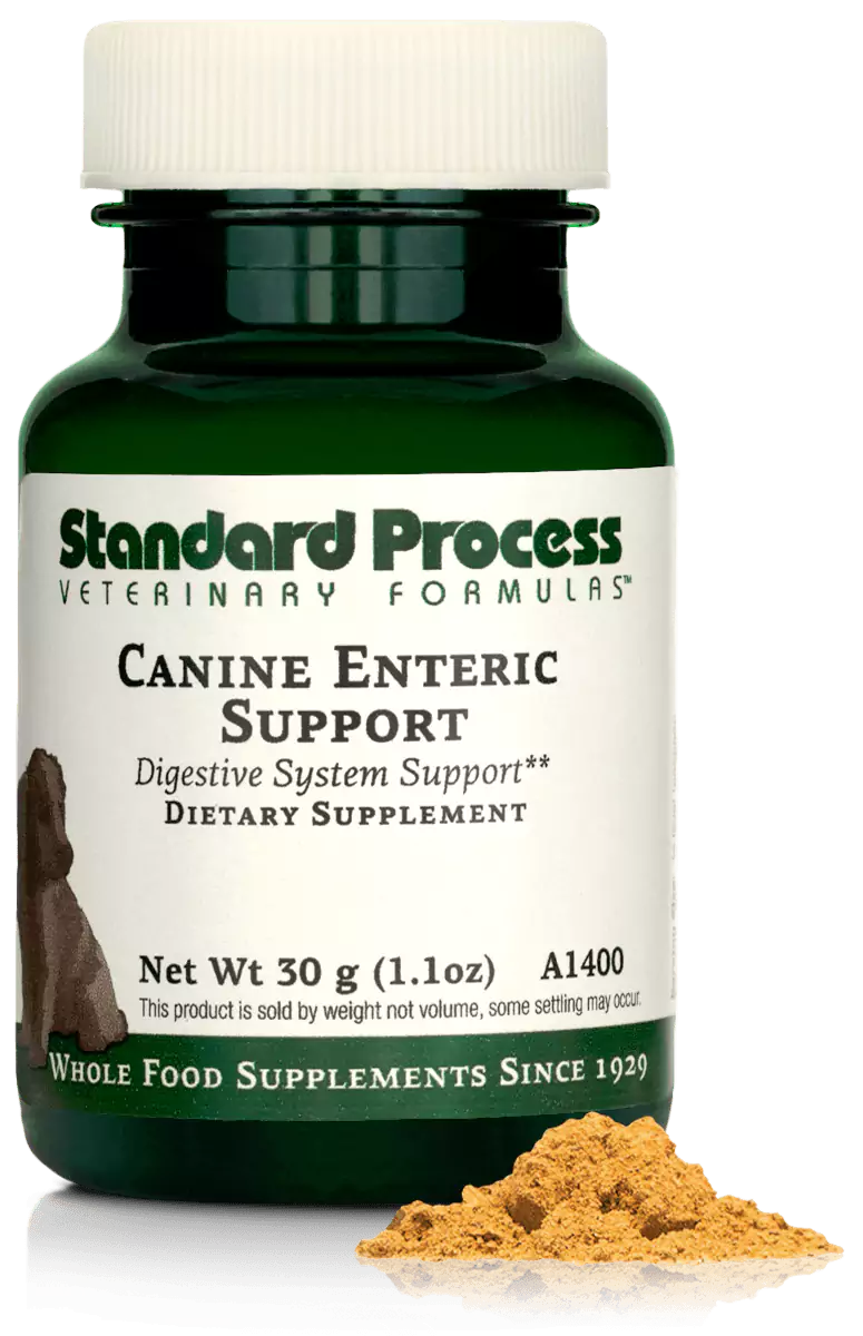 Canine Enteric Support, 1.1 oz (30 g) / 3.9 oz (110 g)
