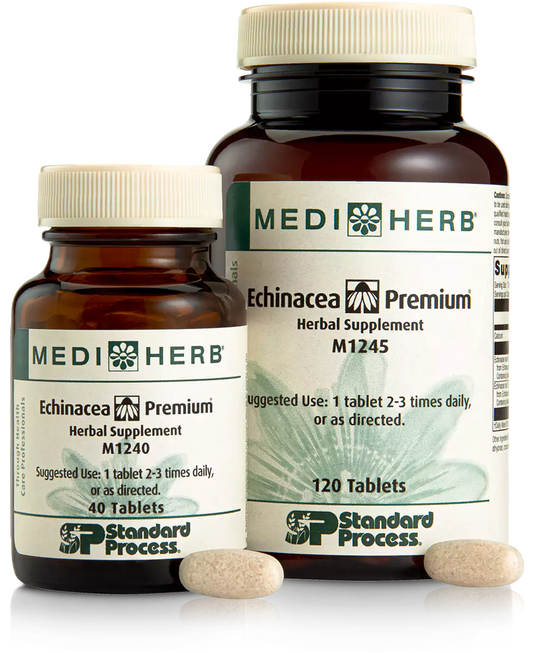 Echinacea Premium - Whole Food Blood and Immune Support