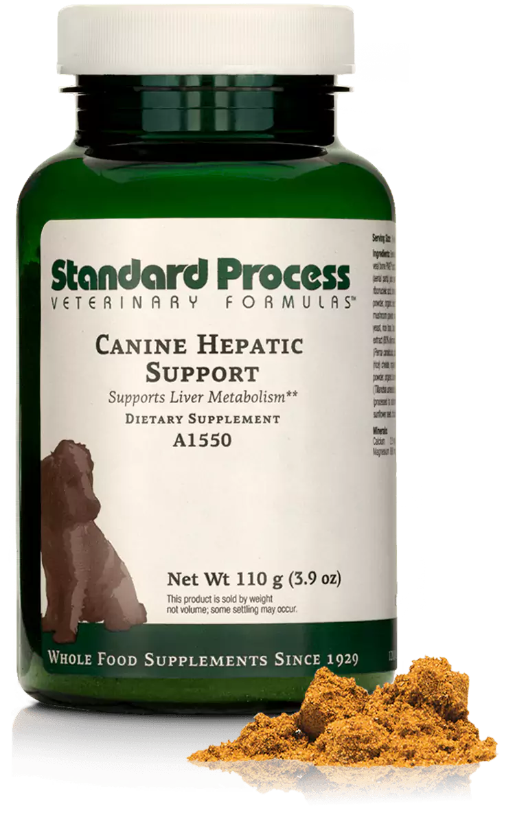 Canine Hepatic Support, 1.1 oz (30 g)/3.9 oz (110 g)