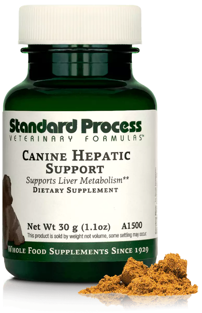 Canine Hepatic Support, 1.1 oz (30 g)/3.9 oz (110 g)