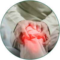 Bone and Joint Support
