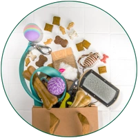 pet accessories