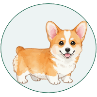 dog supplement