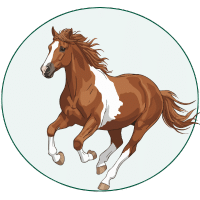 horse supplement